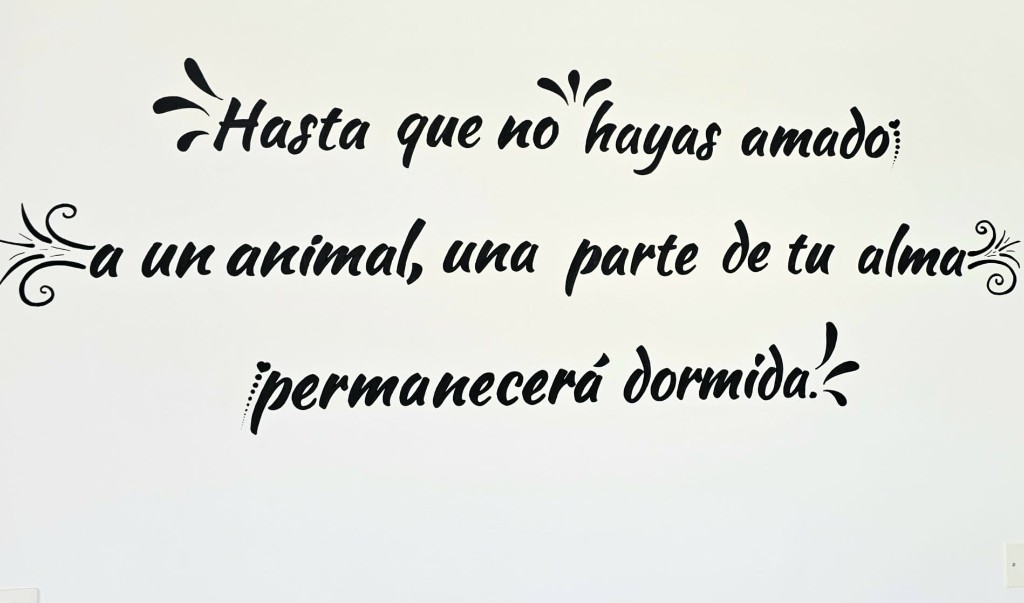 Imagen Galería: 